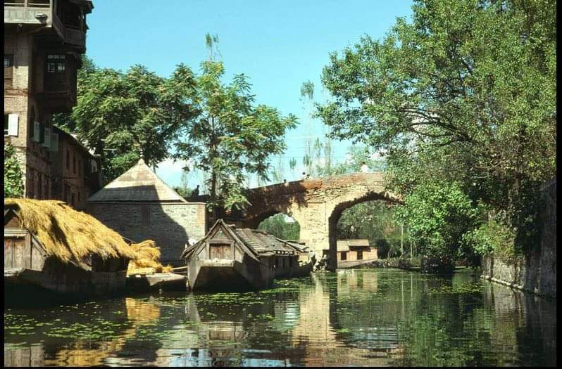 Picture of Rainawari